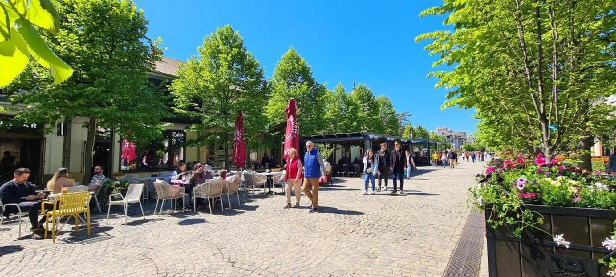 Great Exodus - Iasi City Center Dış mekan fotoğraf